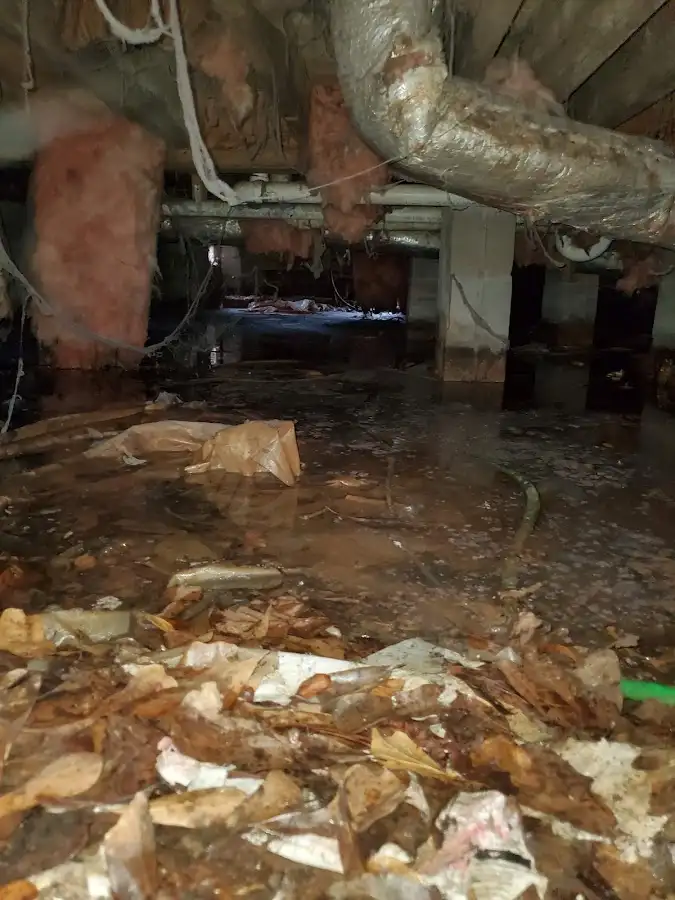 Crawl space flood assessment for Leak Detection & Repair in Lamont